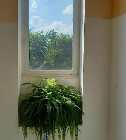 Casina Grassi 쿠트로피아노